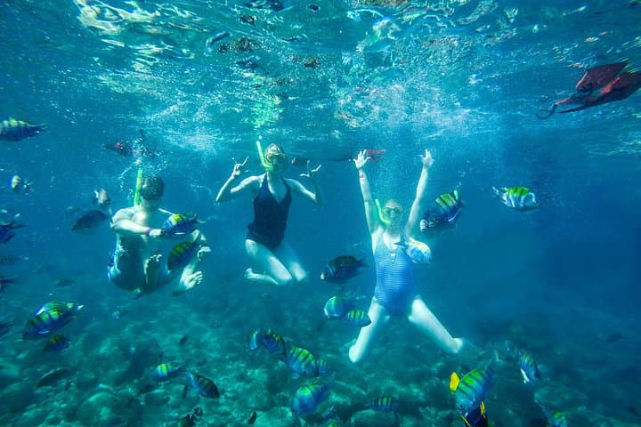 Cabo Arch & Pelican Rock Snorkel: Glass-Bottom Boat to Land's End photo 4