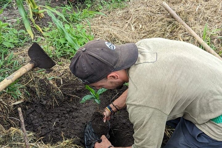 Three-Day Private Coffee Farm Immersion in Filadelfia, Colombia photo 5