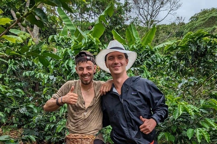 Three-Day Private Coffee Farm Immersion in Filadelfia, Colombia photo 3