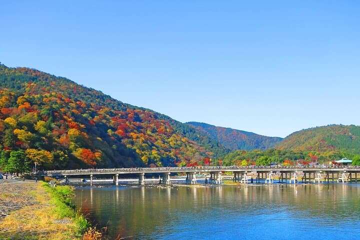 Kyoto Private Minivan Tour — 4-Hour City Highlights with Guide photo 3