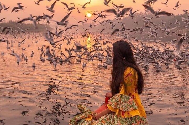 Private Four-Day Golden Triangle Tour: Delhi, Agra & Jaipur Highlights photo 6