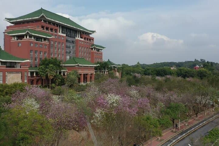 wander-a-campus-cows-classrooms-and-canteen-flavors-at-south-china-agricultural-university photo 1