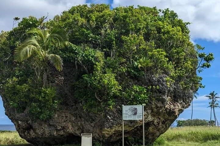 Exclusive Tour of Tongatapu: Full-Island Tour with Anahulu Cave Swim photo 5