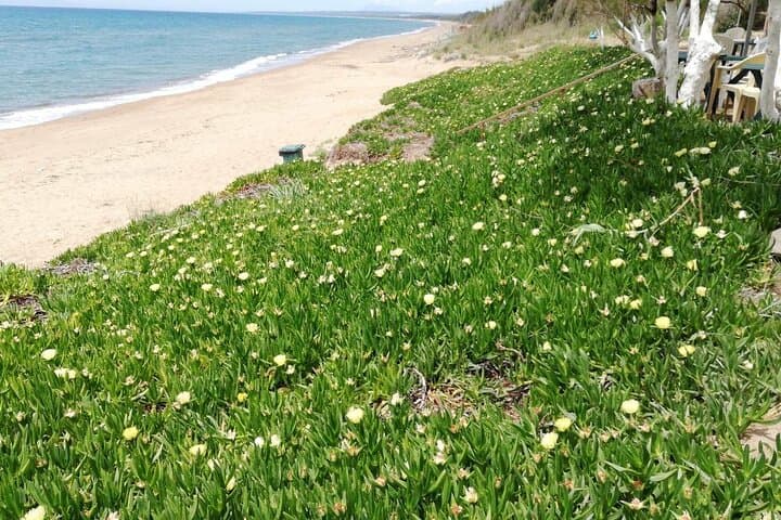 Katakolon Kourouta Beach Multi-Activity — Golf, Swim & Cultural Exchange photo 4