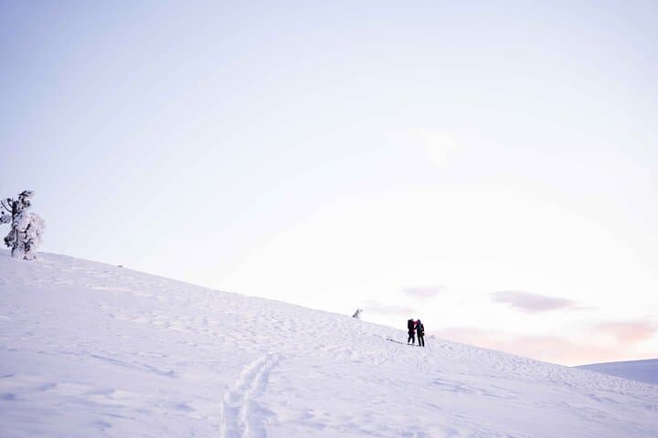 Half-Day Snowshoe Adventure & Arctic Photography in Levi, Lapland photo 4