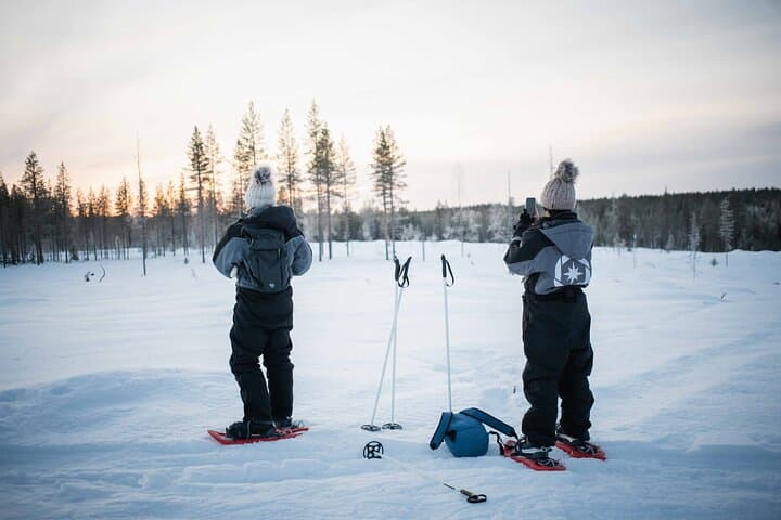 Half-Day Snowshoe Adventure & Arctic Photography in Levi, Lapland