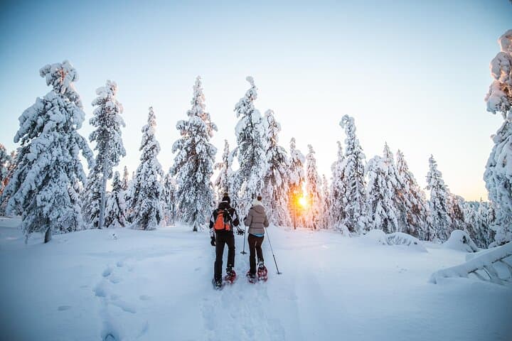 Half-Day Snowshoe Adventure & Arctic Photography in Levi, Lapland photo 5
