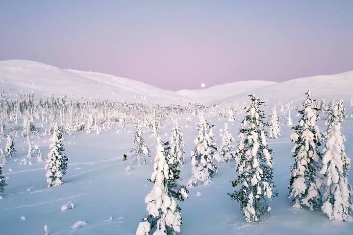 Half-Day Wilderness Hike from Levi into Pallas-Yllästunturi National Park