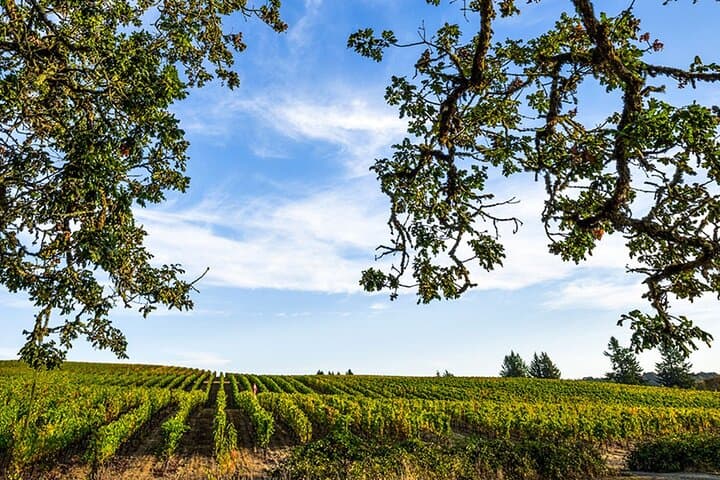 Heart of Willamette Winery Pass 2024 — Willamette Valley Wine Tasting Guide photo 2