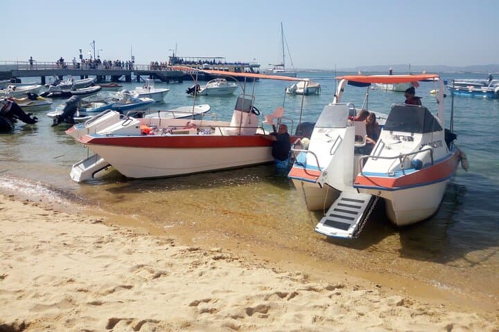 5-Hour Ria Formosa Boat Tour to Ilha da Culatra, Deserta & Farol photo 5