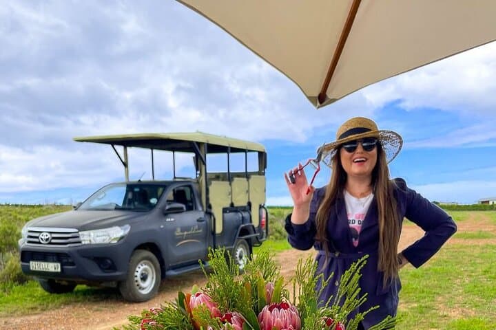 Benguela Cove Vineyard Safari: Ocean-Facing Vines & Guided Wine Tasting in Hermanus photo 4