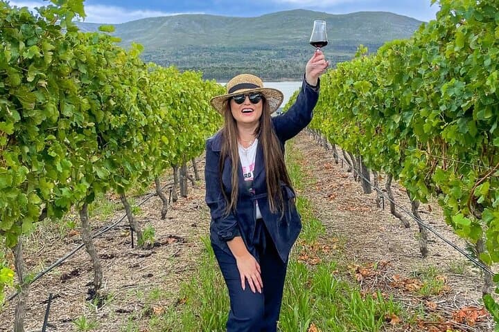 Benguela Cove Vineyard Safari: Ocean-Facing Vines & Guided Wine Tasting in Hermanus photo 5