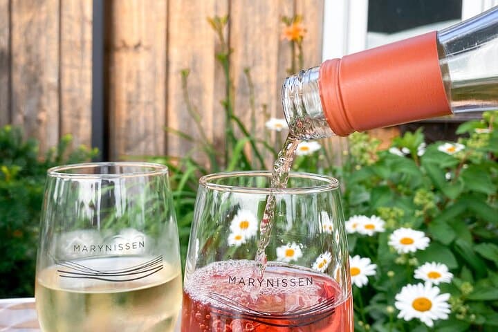 Niagara-on-the-Lake Cycle and Wine-Tasting Tour — 4- or 6-Hour Winery Ride photo 2