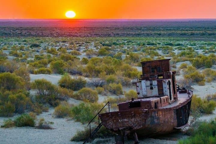 Aral Sea One-Day Tour from Tashkent — Muynak Ship Graveyard & Nukus Museums photo 1