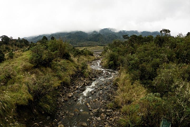 Chingaza Páramo Suasie Trail: Private Day Tour from Bogotá for Deer & High-Andean Views photo 2