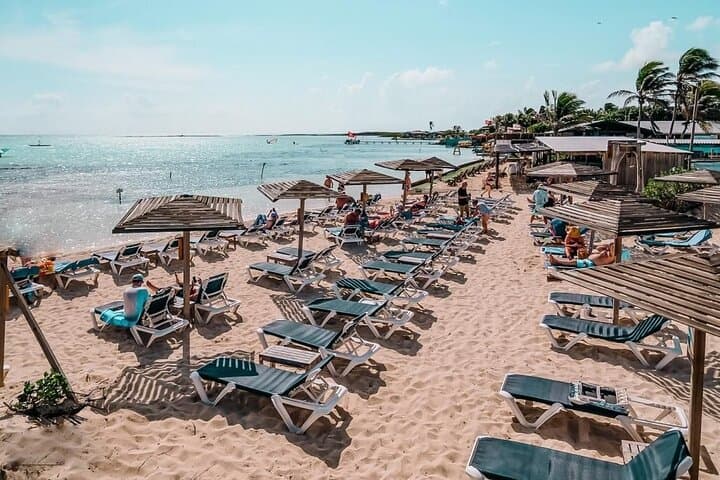 Bonaire Island Highlights: 2-Hour Sightseeing Tour + 2-Hour Sorobon Beach Stop photo 4