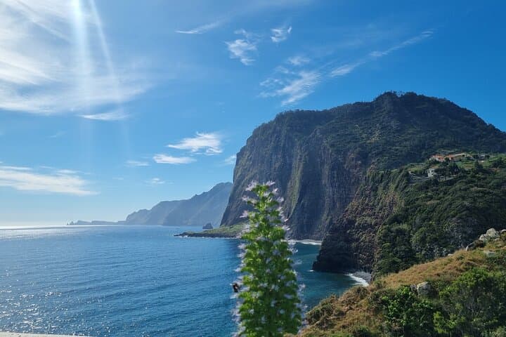 Santana Thatched Houses & East Madeira Private Tour — 5-Hour Cultural Drive photo 4