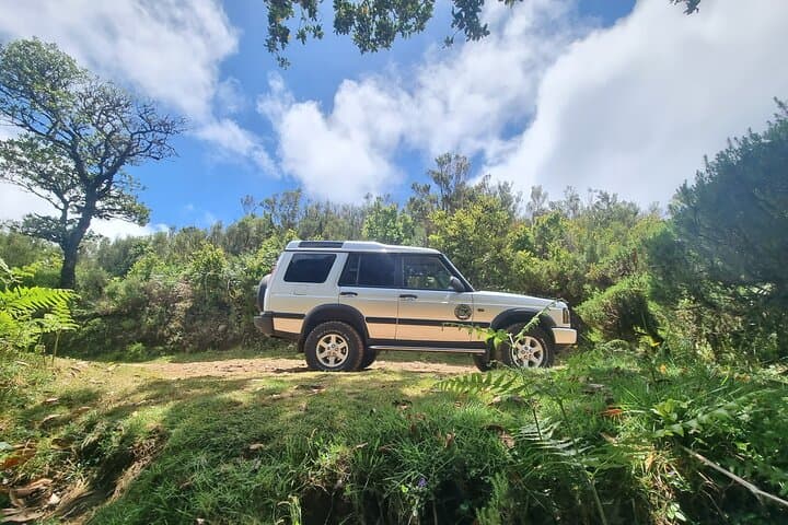 Full-Day Private 4x4 Jeep Tour to Porto Moniz or Santana, Madeira photo 4
