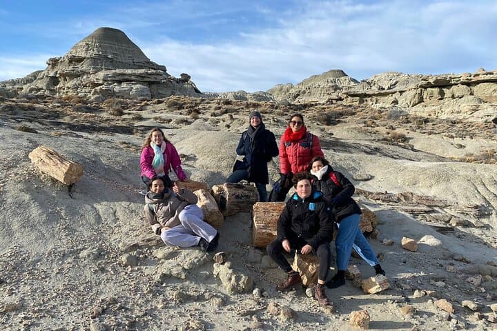 Hiking La Leona Petrified Forest: Day Tour from El Calafate
