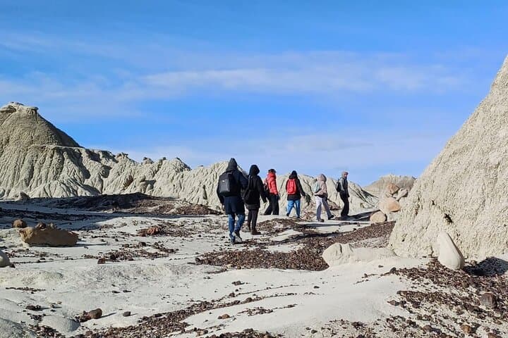 Hiking La Leona Petrified Forest: Day Tour from El Calafate photo 2