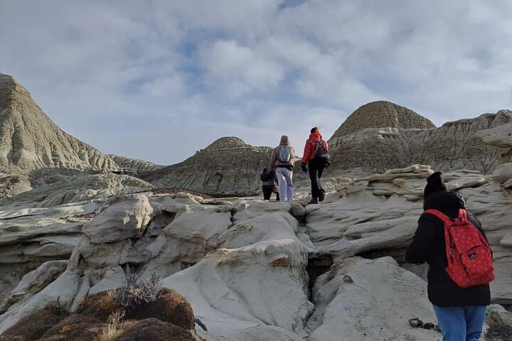 Hiking La Leona Petrified Forest: Day Tour from El Calafate photo 4