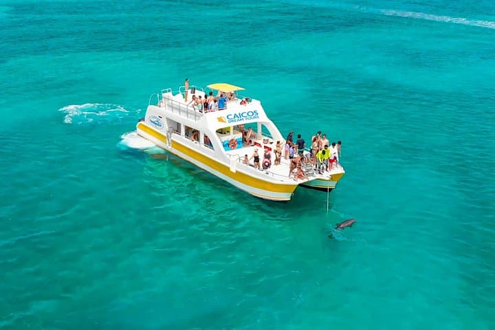 Morning Half-Day Snorkel Cruise to Iguana Island from Providenciales photo 1