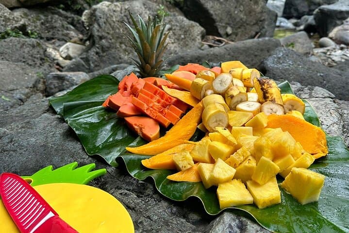 El Yunque Half-Day Rainforest Tour: Waterfalls, Natural Slide & Local Guide photo 6