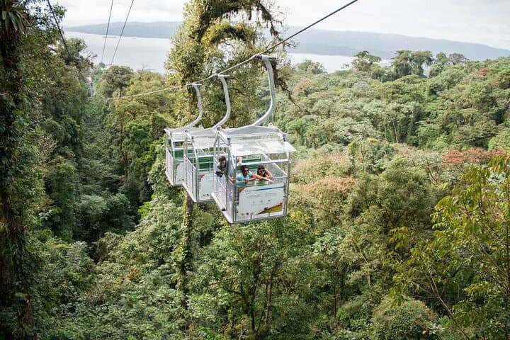 Monteverde Cloud Forest Combo: Cable Car, Zipline & Hanging Bridges from San José photo 2