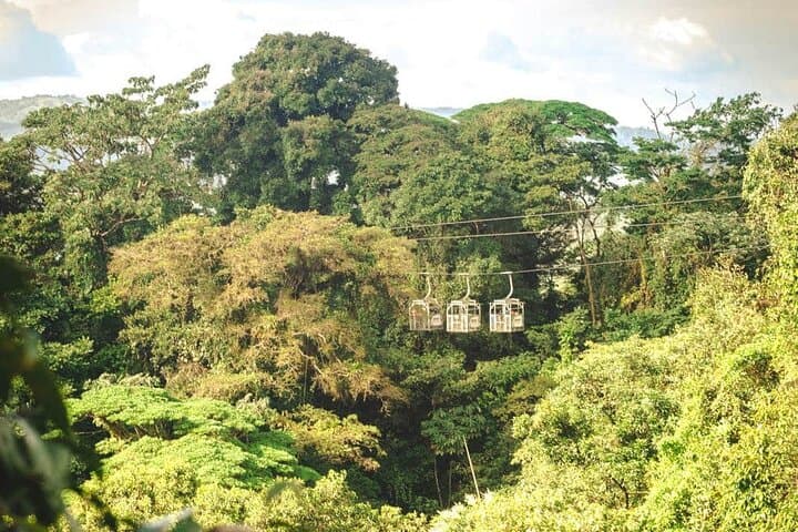 Monteverde Cloud Forest Combo: Cable Car, Zipline & Hanging Bridges from San José photo 6