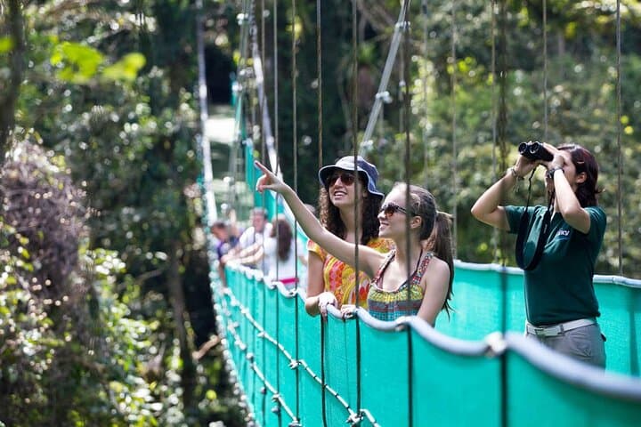 Monteverde Cloud Forest Combo: Cable Car, Zipline & Hanging Bridges from San José photo 3