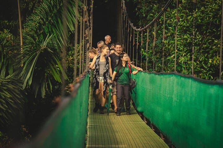 Monteverde Cloud Forest Combo: Cable Car, Zipline & Hanging Bridges from San José