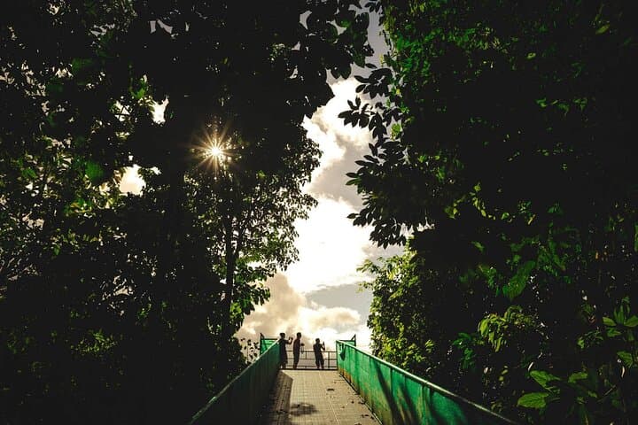 Monteverde Cloud Forest Combo: Cable Car, Zipline & Hanging Bridges from San José photo 4