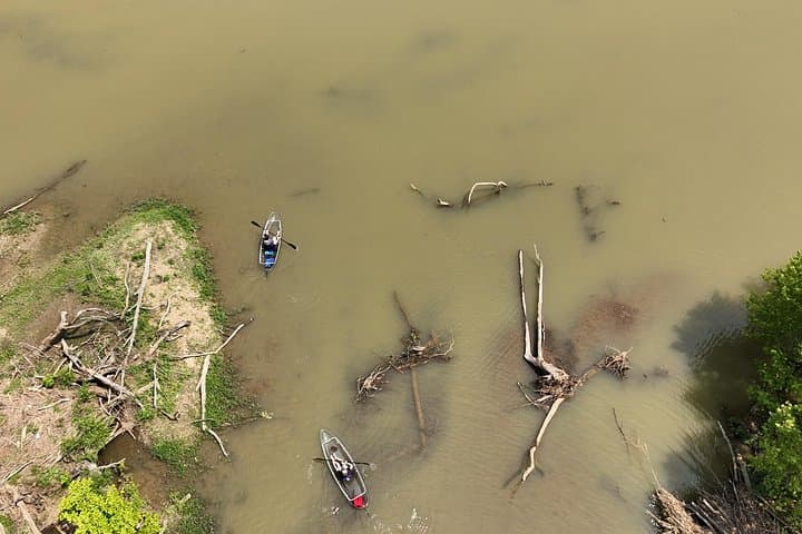 Clear Kayak Tour at Old Hickory Lake: Wildlife & Sunset Paddle from Bledsoe Creek photo 5