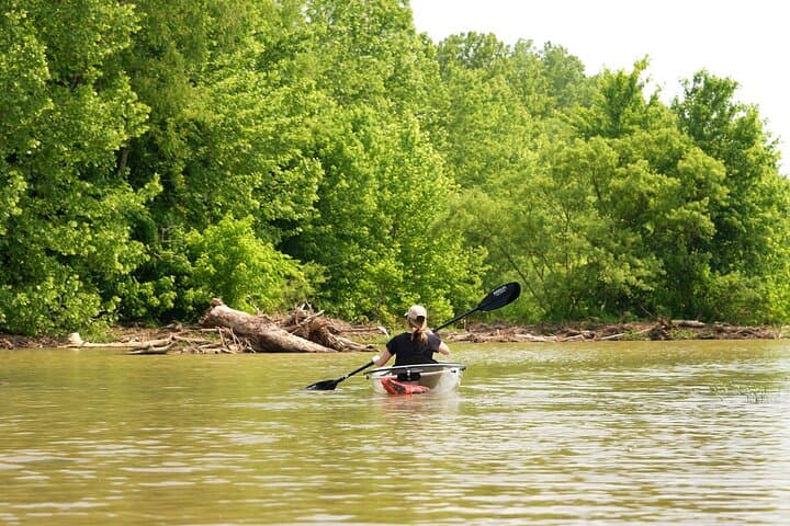 Clear Kayak Tour at Old Hickory Lake: Wildlife & Sunset Paddle from Bledsoe Creek photo 3