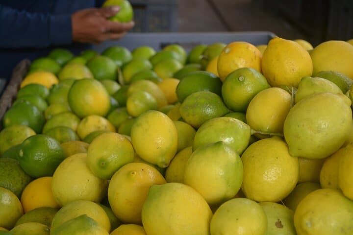 Hidden Route Day Tour from Quito: Rural Villages, Farm Harvests & Scenic Viewpoints photo 6