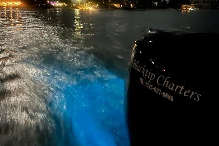 Private Bioluminescence Swim Tour in Grand Cayman — Night Snorkel the Sparkling Bay