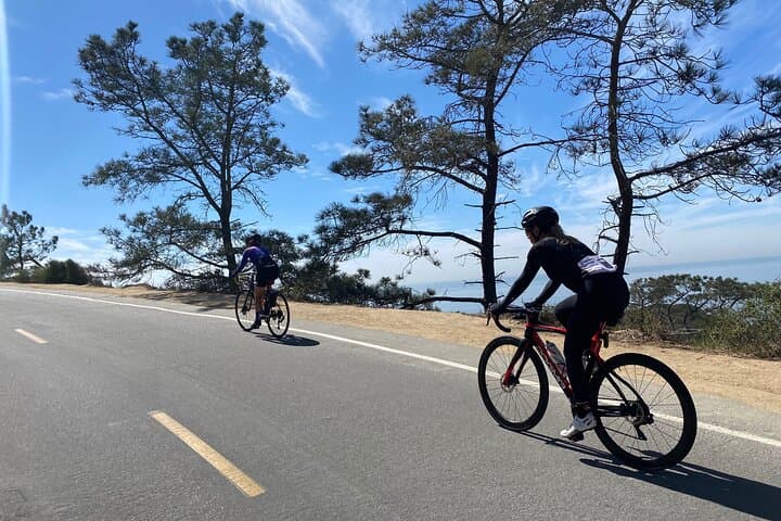 San Diego Coast Road Bike Tour: A Serious Cyclist’s Ultimate Ride