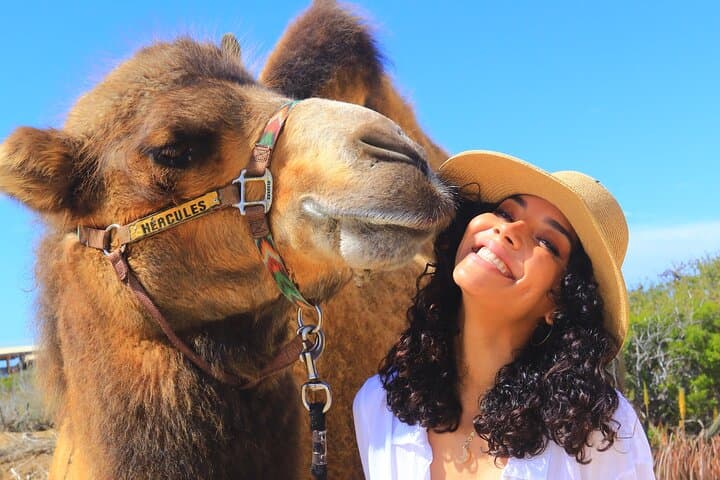 Cabo Migriño Camel Ride & UTV Dune Combo — Beach-to-Desert Adventure photo 4