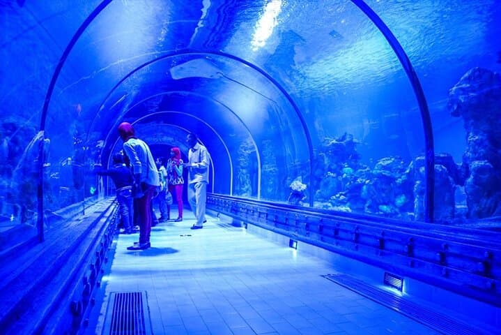 Hurghada Grand Aquarium: 2-Hour Red Sea Wonders Tour with Shark Feedings photo 2