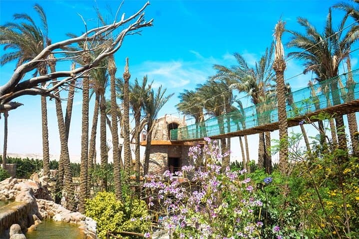 Hurghada Grand Aquarium: 2-Hour Red Sea Wonders Tour with Shark Feedings photo 3