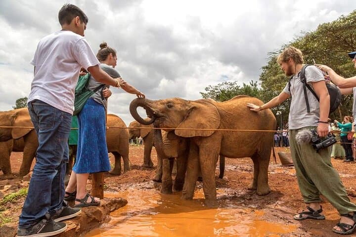 Private Maasai Mara Luxury Safari: 5-Day Big Five & Wildebeest Migration Experience photo 2
