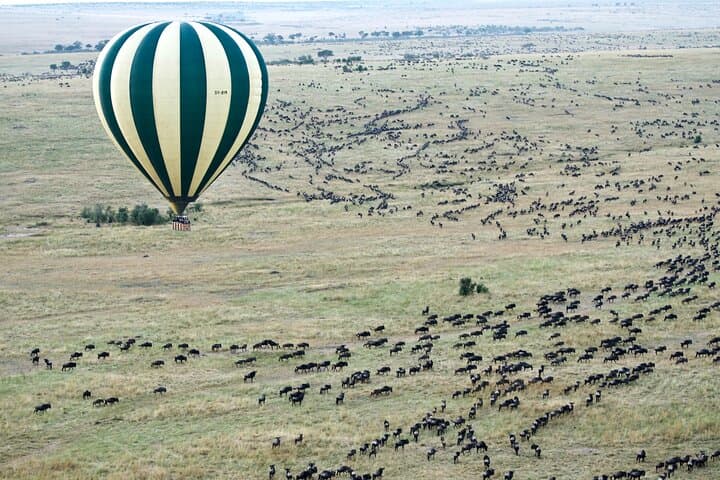 Private Maasai Mara Luxury Safari: 5-Day Big Five & Wildebeest Migration Experience