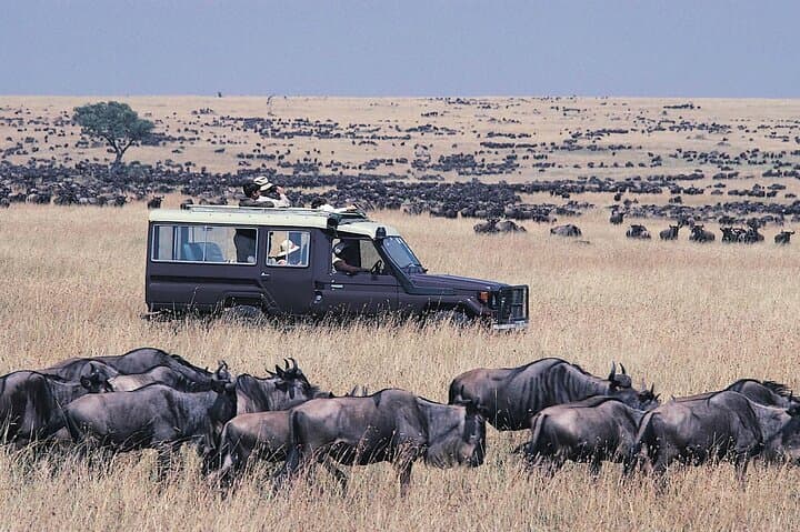 Private Maasai Mara Luxury Safari: 5-Day Big Five & Wildebeest Migration Experience photo 5