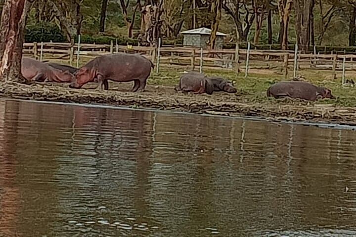 Biking Hell's Gate & Lake Naivasha: A Day Tour from Nairobi