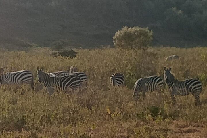 Biking Hell's Gate & Lake Naivasha: A Day Tour from Nairobi photo 2
