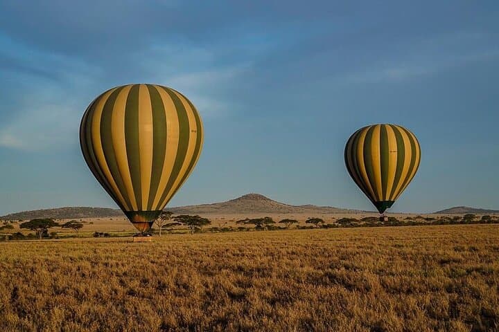 Day Trip Safari: Ngorongoro Crater from Arusha photo 5