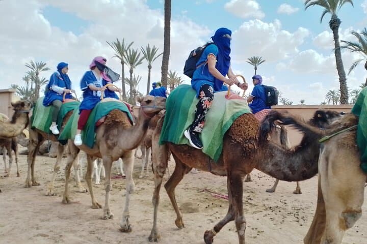 Sunset Camel Ride in Marrakech's Palmeraie — 30-Min Oasis Tour photo 6