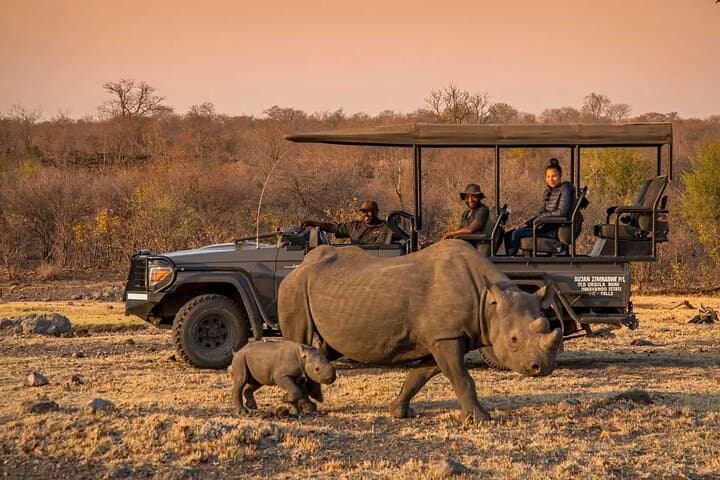 Stanley and Livingstone Game Drive Victoria Falls: Morning & Afternoon Safari