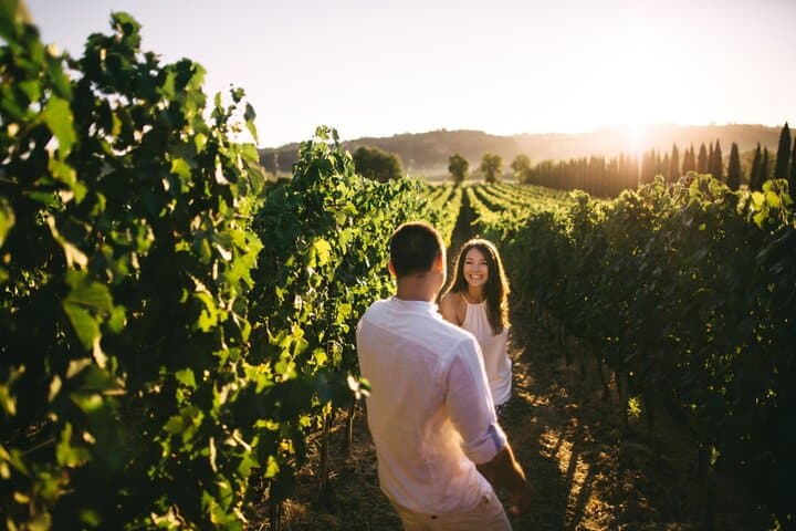 Stancija Collis Winery Adventure — Guided Tasting & Olive Oil Experience near Rovinj photo 4