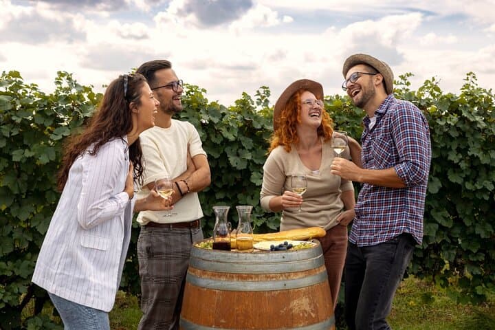 Stancija Collis Winery Adventure — Guided Tasting & Olive Oil Experience near Rovinj photo 3